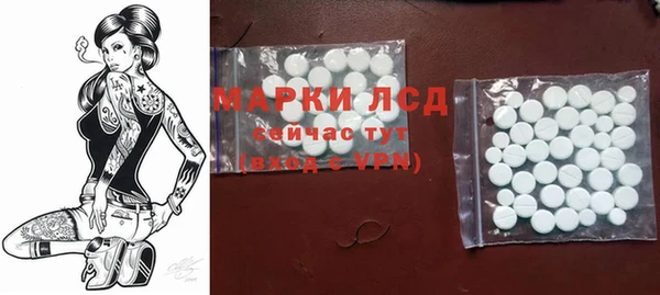 прущие грибы Нея