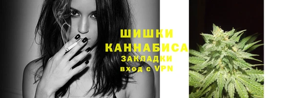 гидра Наволоки