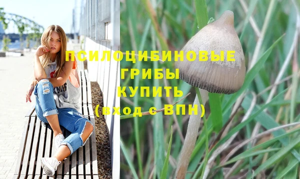 гидра Наволоки